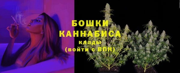 PSILOCYBIN Беломорск