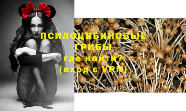 метамфетамин Белокуриха