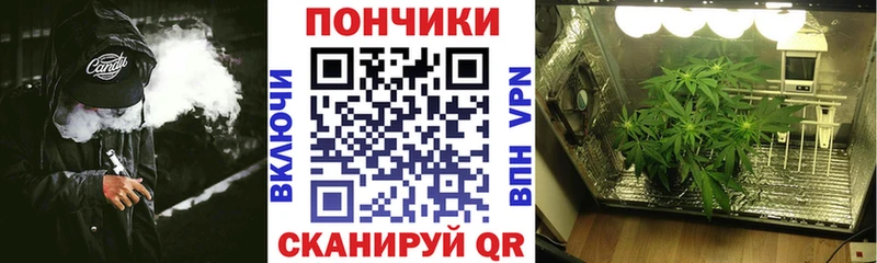 Шишки марихуана THC 21%  darknet состав  Володарск 